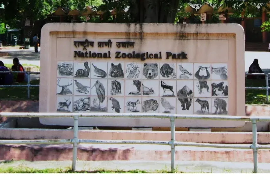 In 2024: The Best National Zoological Park In Delhi